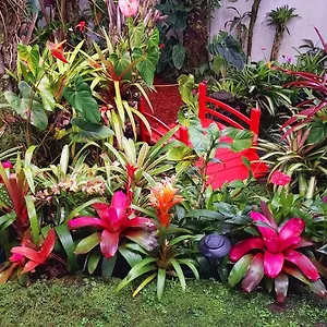 Homestay Paradise At Anthurium Hale, Hilo